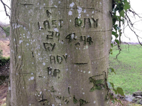 Initials carved in a tree at Dundonald initially thought to be from 1944 but later found to be 1994.
