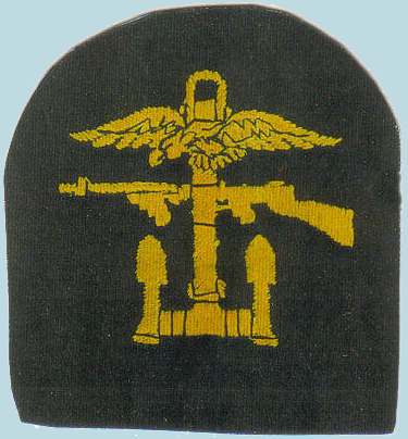 Combined Operations Badge - Specimens