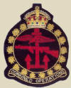 Combined Operations Badges in Day to Day Use